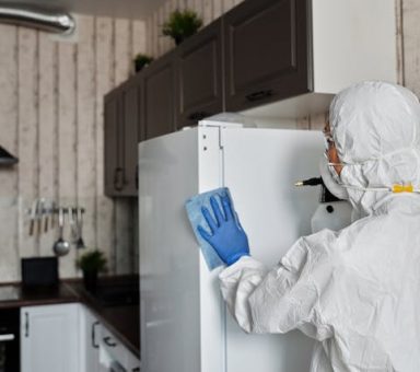 pexels-matilda-wormwood-4099260